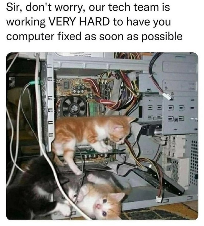 Our tech team